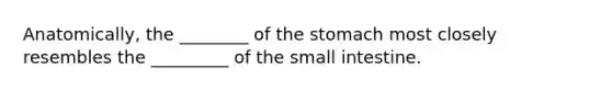 Anatomically, the ________ of the stomach most closely resembles the _________ of the small intestine.