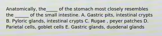 Anatomically, the_____ of the stomach most closely resembles the ______ of the small intestine. A. Gastric pits, intestinal crypts B. Pyloric glands, intestinal crypts C. Rugae , peyer patches D. Parietal cells, goblet cells E. Gastric glands, duodenal glands