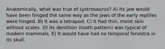 Anatomically, what was true of Lystrosaurus? A) Its jaw would have been hinged the same way as the jaws of the early reptiles were hinged. B) It was a tetrapod. C) It had thin, moist skin without scales. D) Its dentition (tooth pattern) was typical of modern mammals. E) It would have had no temporal fenestra in its skull.