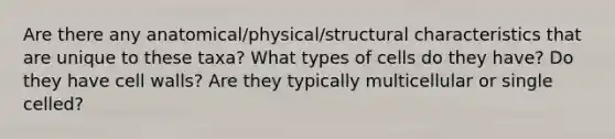 Are there any anatomical/physical/structural characteristics that are unique to these taxa? What types of cells do they have? Do they have cell walls? Are they typically multicellular or single celled?