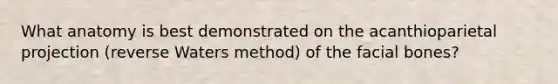 What anatomy is best demonstrated on the acanthioparietal projection (reverse Waters method) of the facial bones?