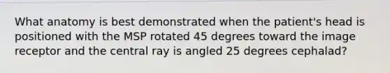 What anatomy is best demonstrated when the patient's head is positioned with the MSP rotated 45 degrees toward the image receptor and the central ray is angled 25 degrees cephalad?