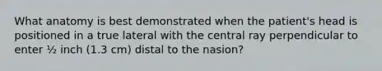 What anatomy is best demonstrated when the patient's head is positioned in a true lateral with the central ray perpendicular to enter ½ inch (1.3 cm) distal to the nasion?