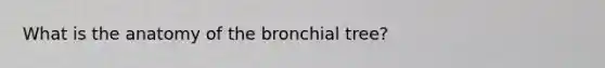 What is the anatomy of the bronchial tree?