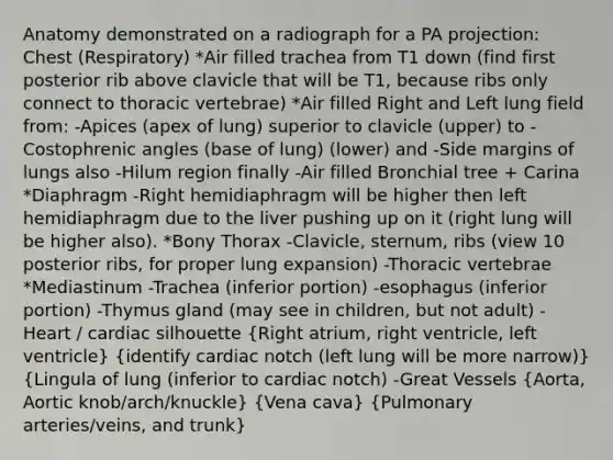 Anatomy demonstrated on a radiograph for a PA projection: Chest (Respiratory) *Air filled trachea from T1 down (find first posterior rib above clavicle that will be T1, because ribs only connect to thoracic vertebrae) *Air filled Right and Left lung field from: -Apices (apex of lung) superior to clavicle (upper) to -Costophrenic angles (base of lung) (lower) and -Side margins of lungs also -Hilum region finally -Air filled Bronchial tree + Carina *Diaphragm -Right hemidiaphragm will be higher then left hemidiaphragm due to the liver pushing up on it (right lung will be higher also). *Bony Thorax -Clavicle, sternum, ribs (view 10 posterior ribs, for proper lung expansion) -Thoracic vertebrae *Mediastinum -Trachea (inferior portion) -esophagus (inferior portion) -Thymus gland (may see in children, but not adult) -Heart / cardiac silhouette (Right atrium, right ventricle, left ventricle) (identify cardiac notch (left lung will be more narrow)) (Lingula of lung (inferior to cardiac notch) -Great Vessels {Aorta, Aortic knob/arch/knuckle) (Vena cava) (Pulmonary arteries/veins, and trunk)