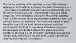 What is the anatomy of the digestive system? The digestive system can be thought of as having two main components: a ---—essentially a long tube lined with muscles that extends from the mouth to the anus; and ---that flank the tract and assist indigestion. (The stomach is one part of the central digestive tract.) As the muscles of the digestive tract alternately relax and contract, food is pushed along. The accessory organs located along the length of the tract secrete enzymes and other chemicals into the tract to help break down food molecules. Through these coordinated actions, the digestive system transforms the food we eat into a form our bodies can use and rids the body of the waste left over once usable nutrients are removed from food we have taken in