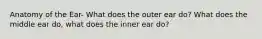 Anatomy of the Ear- What does the outer ear do? What does the middle ear do, what does the inner ear do?