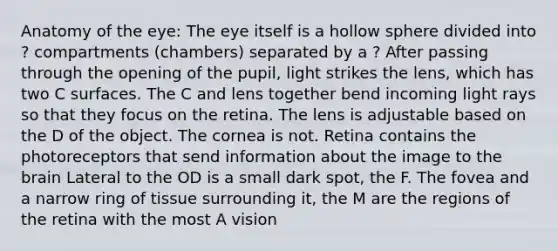 Anatomy of the eye: The eye itself is a hollow sphere divided into ? compartments (chambers) separated by a ? After passing through the opening of the pupil, light strikes the lens, which has two C surfaces. The C and lens together bend incoming light rays so that they focus on the retina. The lens is adjustable based on the D of the object. The cornea is not. Retina contains the photoreceptors that send information about the image to the brain Lateral to the OD is a small dark spot, the F. The fovea and a narrow ring of tissue surrounding it, the M are the regions of the retina with the most A vision