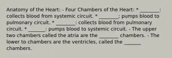 Anatomy of the Heart: - Four Chambers of the Heart: * ________: collects blood from systemic circuit. * ________; pumps blood to pulmonary circuit. * ________: collects blood from pulmonary circuit. * _______: pumps blood to systemic circuit. - The upper two chambers called the atria are the ________ chambers. - The lower to chambers are the ventricles, called the _______ chambers.