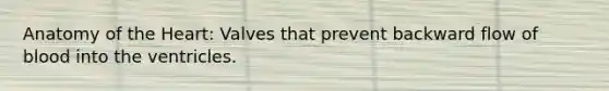 Anatomy of the Heart: Valves that prevent backward flow of blood into the ventricles.