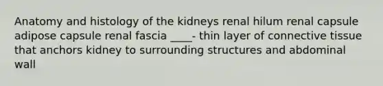 Anatomy and histology of the kidneys renal hilum renal capsule adipose capsule renal fascia ____- thin layer of connective tissue that anchors kidney to surrounding structures and abdominal wall