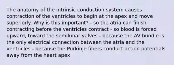 The anatomy of the intrinsic conduction system causes contraction of the ventricles to begin at the apex and move superiorly. Why is this important? - so the atria can finish contracting before the ventricles contract - so blood is forced upward, toward the semilunar valves - because the AV bundle is the only electrical connection between the atria and the ventricles - because the Purkinje fibers conduct action potentials away from the heart apex