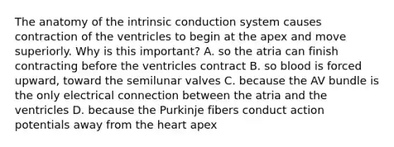 The anatomy of the intrinsic conduction system causes contraction of the ventricles to begin at the apex and move superiorly. Why is this important? A. so the atria can finish contracting before the ventricles contract B. so blood is forced upward, toward the semilunar valves C. because the AV bundle is the only electrical connection between the atria and the ventricles D. because the Purkinje fibers conduct action potentials away from the heart apex