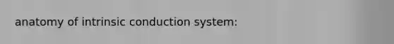 anatomy of intrinsic conduction system: