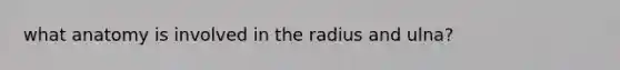 what anatomy is involved in the radius and ulna?