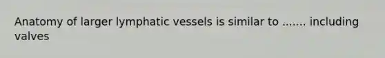 Anatomy of larger lymphatic vessels is similar to ....... including valves