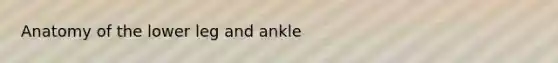 Anatomy of the lower leg and ankle