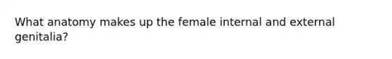 What anatomy makes up the female internal and external genitalia?