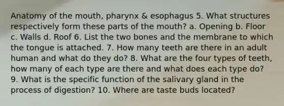 Anatomy of <a href='https://www.questionai.com/knowledge/krBoWYDU6j-the-mouth' class='anchor-knowledge'>the mouth</a>, pharynx & esophagus 5. What structures respectively form these parts of the mouth? a. Opening b. Floor c. Walls d. Roof 6. List the two bones and the membrane to which the tongue is attached. 7. How many teeth are there in an adult human and what do they do? 8. What are the four types of teeth, how many of each type are there and what does each type do? 9. What is the specific function of the salivary gland in the process of digestion? 10. Where are taste buds located?