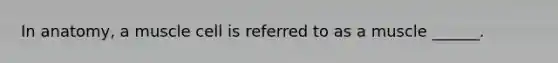 In anatomy, a muscle cell is referred to as a muscle ______.