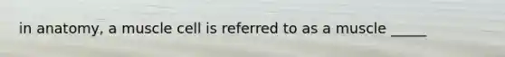 in anatomy, a muscle cell is referred to as a muscle _____