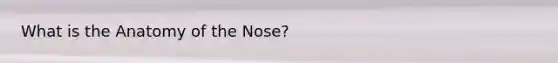 What is the Anatomy of the Nose?