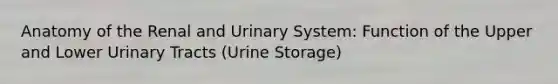 Anatomy of the Renal and Urinary System: Function of the Upper and Lower Urinary Tracts (Urine Storage)