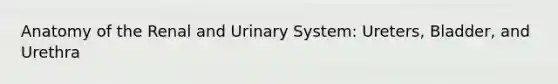 Anatomy of the Renal and Urinary System: Ureters, Bladder, and Urethra