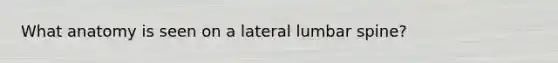 What anatomy is seen on a lateral lumbar spine?