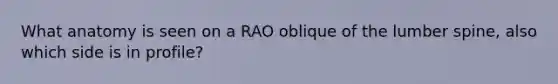 What anatomy is seen on a RAO oblique of the lumber spine, also which side is in profile?