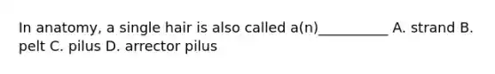 In anatomy, a single hair is also called a(n)__________ A. strand B. pelt C. pilus D. arrector pilus