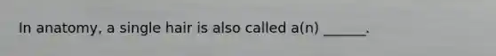 In anatomy, a single hair is also called a(n) ______.