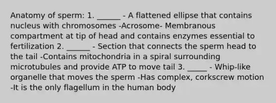 Anatomy of sperm: 1. ______ - A flattened ellipse that contains nucleus with chromosomes -Acrosome- Membranous compartment at tip of head and contains enzymes essential to fertilization 2. ______ - Section that connects the sperm head to the tail -Contains mitochondria in a spiral surrounding microtubules and provide ATP to move tail 3. _____ - Whip-like organelle that moves the sperm -Has complex, corkscrew motion -It is the only flagellum in the human body