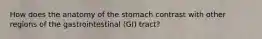 How does the anatomy of the stomach contrast with other regions of the gastrointestinal (GI) tract?