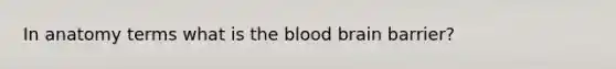 In anatomy terms what is the blood brain barrier?