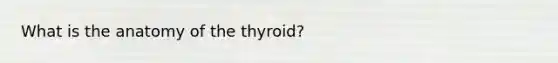 What is the anatomy of the thyroid?