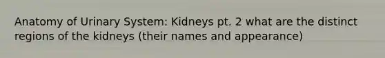 Anatomy of Urinary System: Kidneys pt. 2 what are the distinct regions of the kidneys (their names and appearance)