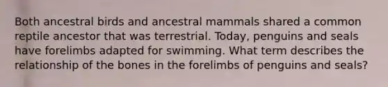 Both ancestral birds and ancestral mammals shared a common reptile ancestor that was terrestrial. Today, penguins and seals have forelimbs adapted for swimming. What term describes the relationship of the bones in the forelimbs of penguins and seals?