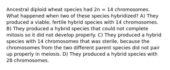 Ancestral diploid wheat species had 2n = 14 chromosomes. What happened when two of these species hybridized? A) They produced a viable, fertile hybrid species with 14 chromosomes. B) They produced a hybrid species that could not complete mitosis so it did not develop properly. C) They produced a hybrid species with 14 chromosomes that was sterile, because the chromosomes from the two different parent species did not pair up properly in meiosis. D) They produced a hybrid species with 28 chromosomes.