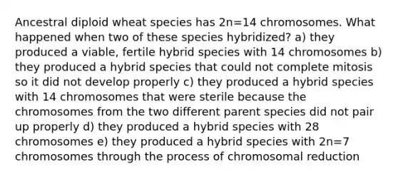 Ancestral diploid wheat species has 2n=14 chromosomes. What happened when two of these species hybridized? a) they produced a viable, fertile hybrid species with 14 chromosomes b) they produced a hybrid species that could not complete mitosis so it did not develop properly c) they produced a hybrid species with 14 chromosomes that were sterile because the chromosomes from the two different parent species did not pair up properly d) they produced a hybrid species with 28 chromosomes e) they produced a hybrid species with 2n=7 chromosomes through the process of chromosomal reduction