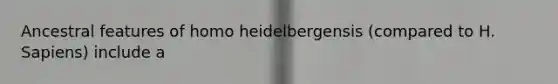 Ancestral features of homo heidelbergensis (compared to H. Sapiens) include a