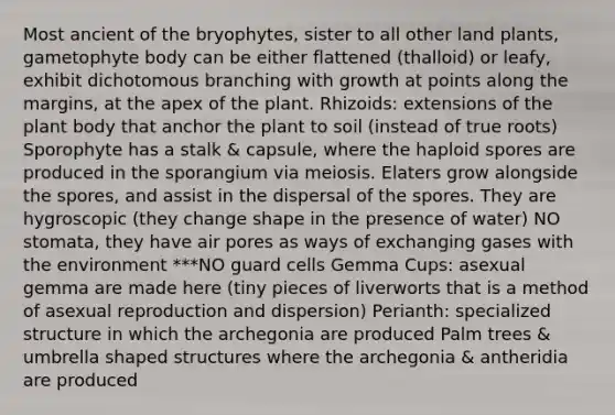 Most ancient of the bryophytes, sister to all other land plants, gametophyte body can be either flattened (thalloid) or leafy, exhibit dichotomous branching with growth at points along the margins, at the apex of the plant. Rhizoids: extensions of the plant body that anchor the plant to soil (instead of true roots) Sporophyte has a stalk & capsule, where the haploid spores are produced in the sporangium via meiosis. Elaters grow alongside the spores, and assist in the dispersal of the spores. They are hygroscopic (they change shape in the presence of water) NO stomata, they have air pores as ways of exchanging gases with the environment ***NO guard cells Gemma Cups: asexual gemma are made here (tiny pieces of liverworts that is a method of asexual reproduction and dispersion) Perianth: specialized structure in which the archegonia are produced Palm trees & umbrella shaped structures where the archegonia & antheridia are produced