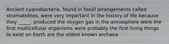 Ancient cyanobacteria, found in fossil arrangements called stromatolites, were very important in the history of life because they _____. produced the oxygen gas in the atmosphere were the first multicellular organisms were probably the first living things to exist on Earth are the oldest known archaea