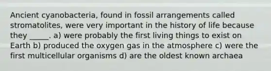 Ancient cyanobacteria, found in fossil arrangements called stromatolites, were very important in the history of life because they _____. a) were probably the first living things to exist on Earth b) produced the oxygen gas in the atmosphere c) were the first multicellular organisms d) are the oldest known archaea