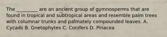 The _________ are an ancient group of gymnosperms that are found in tropical and subtropical areas and resemble palm trees with columnar trunks and palmately compounded leaves. A. Cycads B. Gnetophytes C. Conifers D. Pinacea