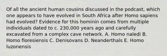 Of all the ancient human cousins discussed in the podcast, which one appears to have evolved in South Africa after Homo sapiens had evolved? Evidence for this hominin comes from multiple individuals dated to c. 230,000 years ago and carefully excavated from a complex cave network. A. Homo naledi B. Homo floresiensis C. Denisovans D. Neanderthals E. Homo luzonensis