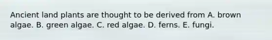 Ancient land plants are thought to be derived from A. brown algae. B. green algae. C. red algae. D. ferns. E. fungi.
