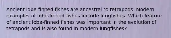 Ancient lobe-finned fishes are ancestral to tetrapods. Modern examples of lobe-finned fishes include lungfishes. Which feature of ancient lobe-finned fishes was important in the evolution of tetrapods and is also found in modern lungfishes?