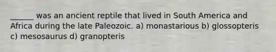 ______ was an ancient reptile that lived in South America and Africa during the late Paleozoic. a) monastarious b) glossopteris c) mesosaurus d) granopteris