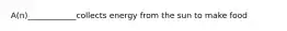 A(n)____________collects energy from the sun to make food